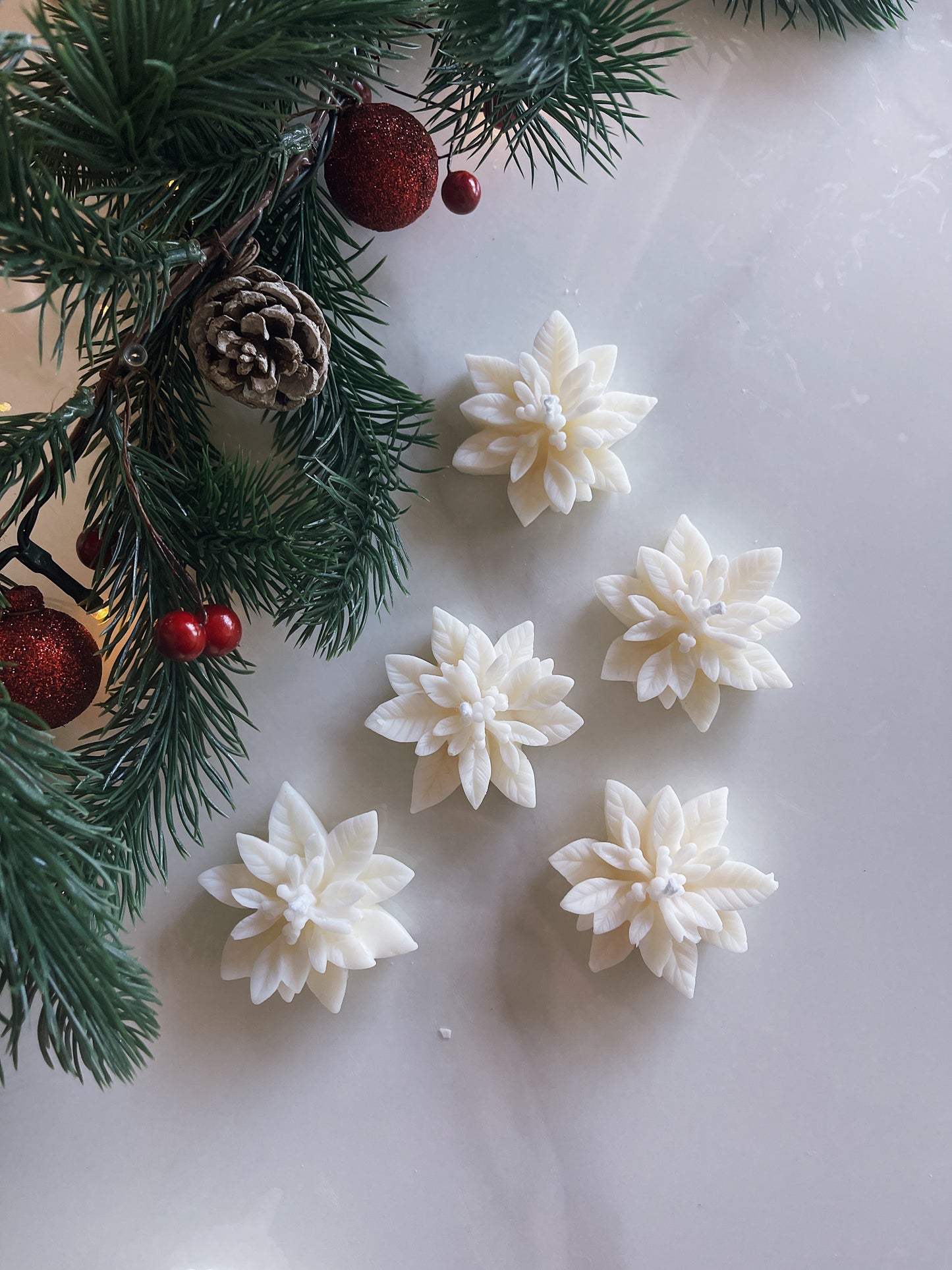 MINI POINSETTIA