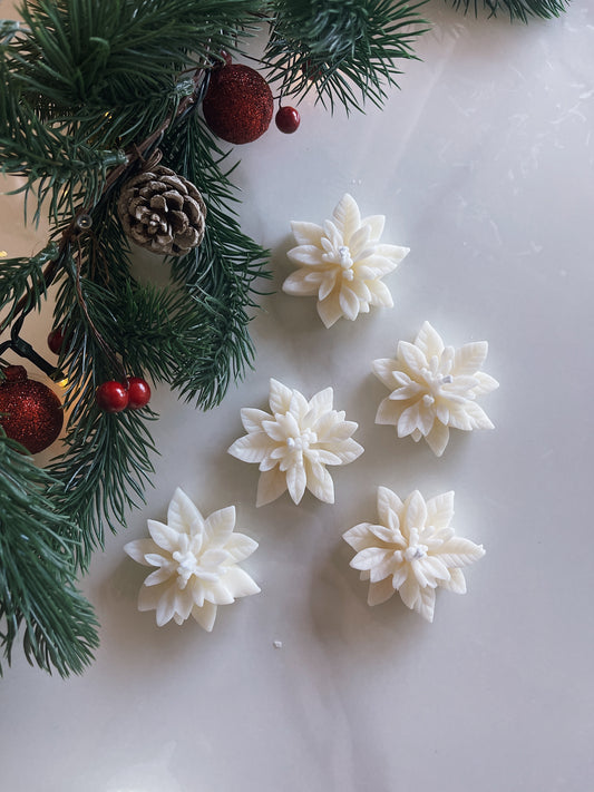 MINI POINSETTIA