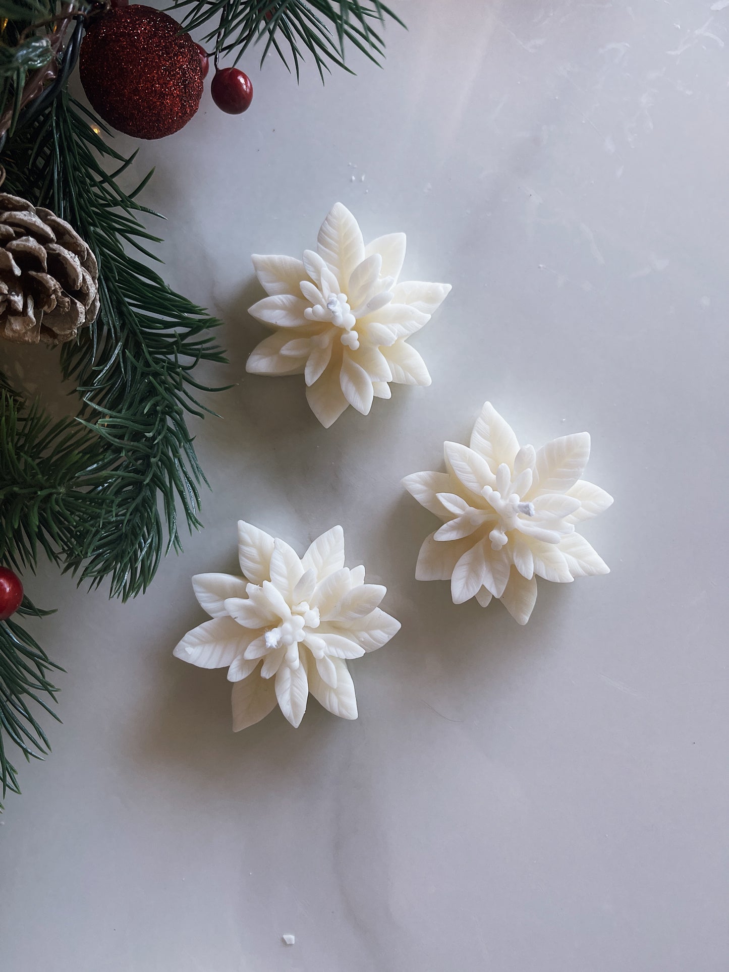 MINI POINSETTIA