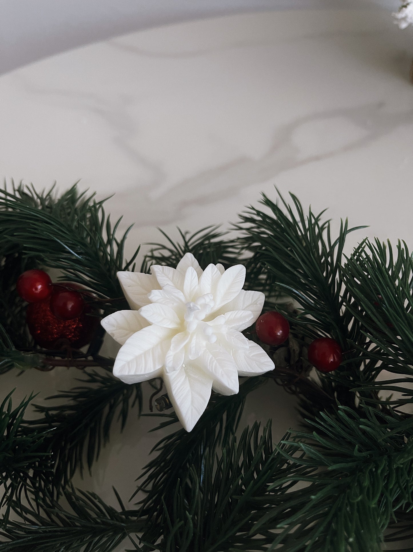 MINI POINSETTIA