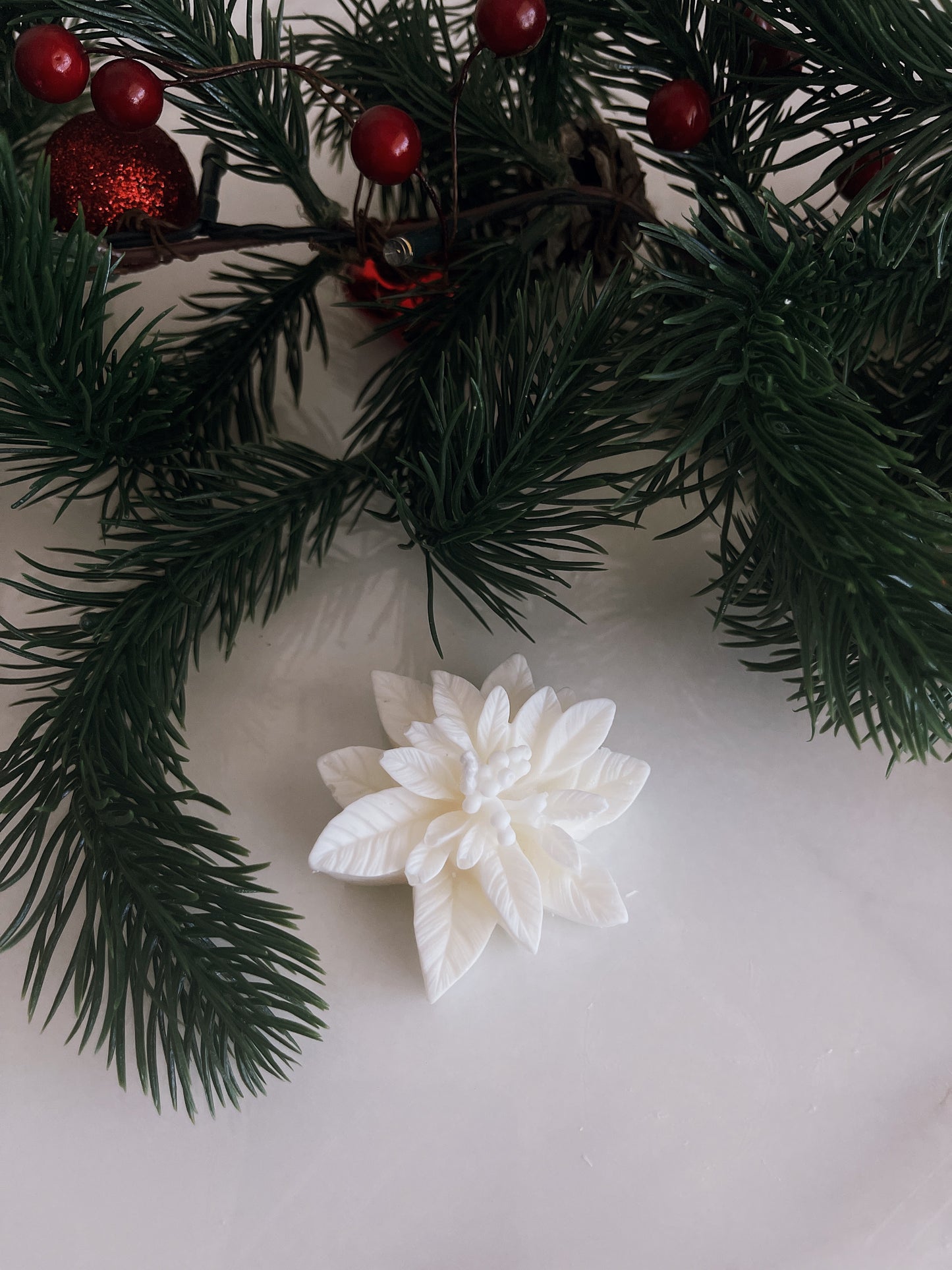 MINI POINSETTIA