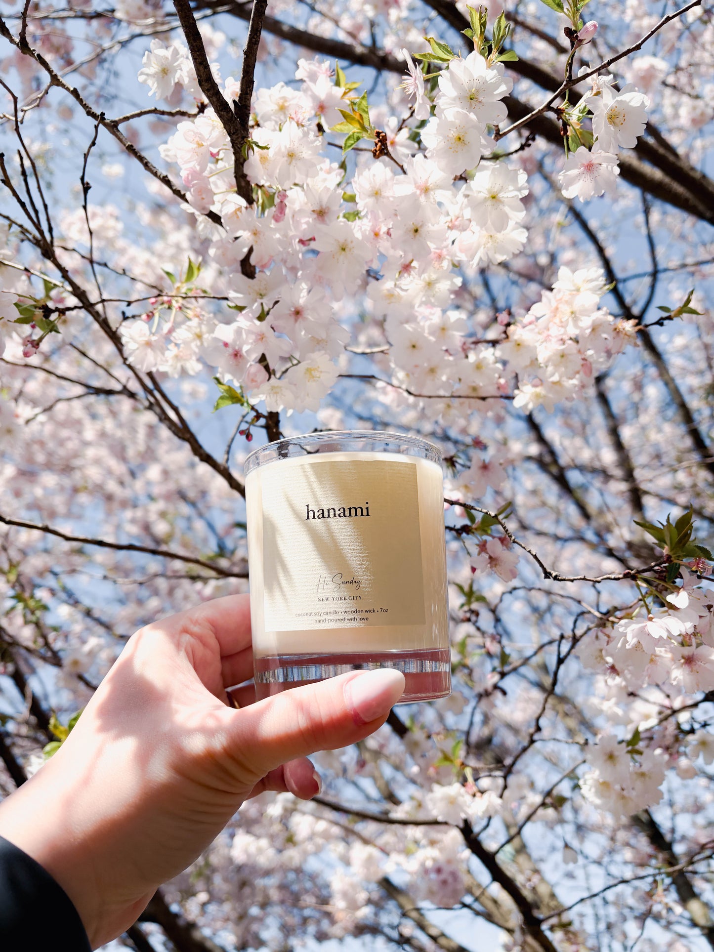 HANAMI