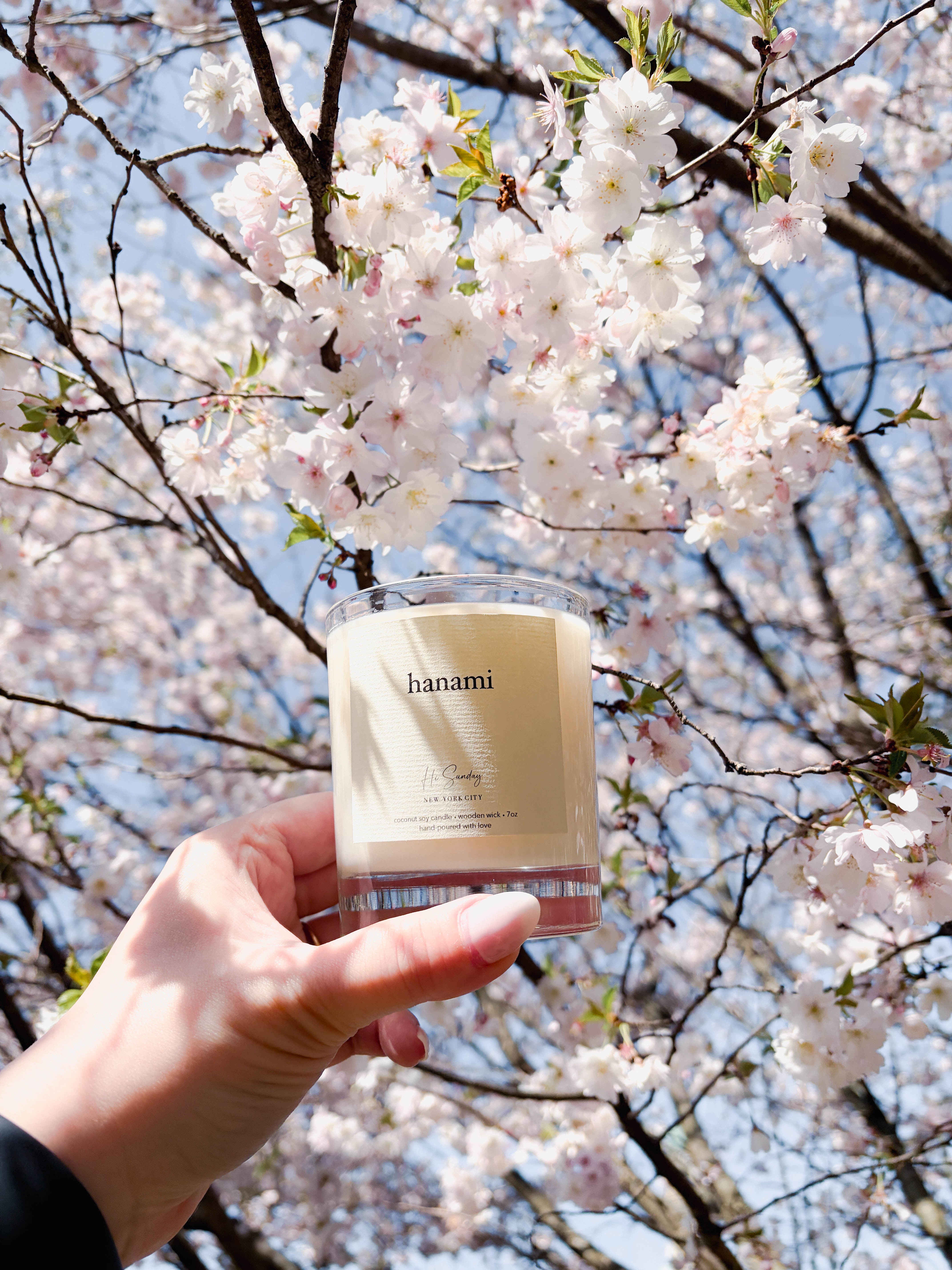 HANAMI – Hi Sunday Collective