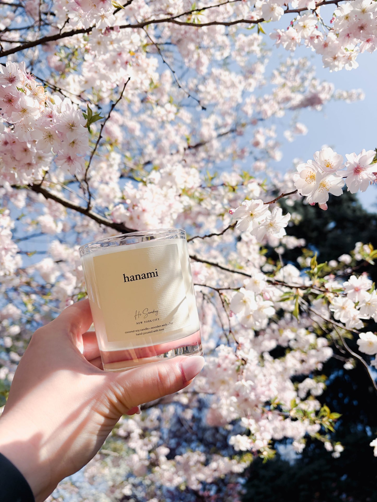 HANAMI