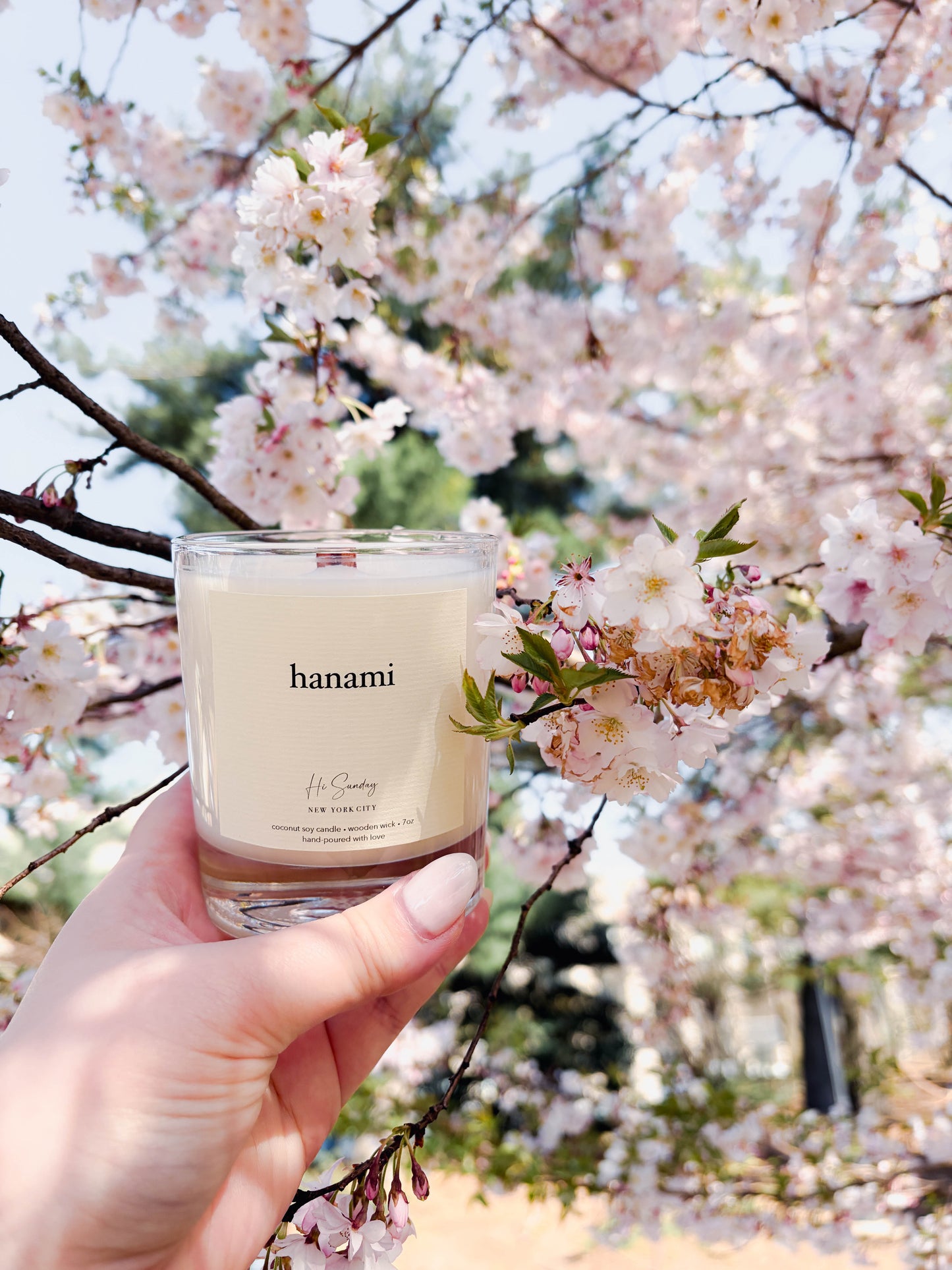 HANAMI