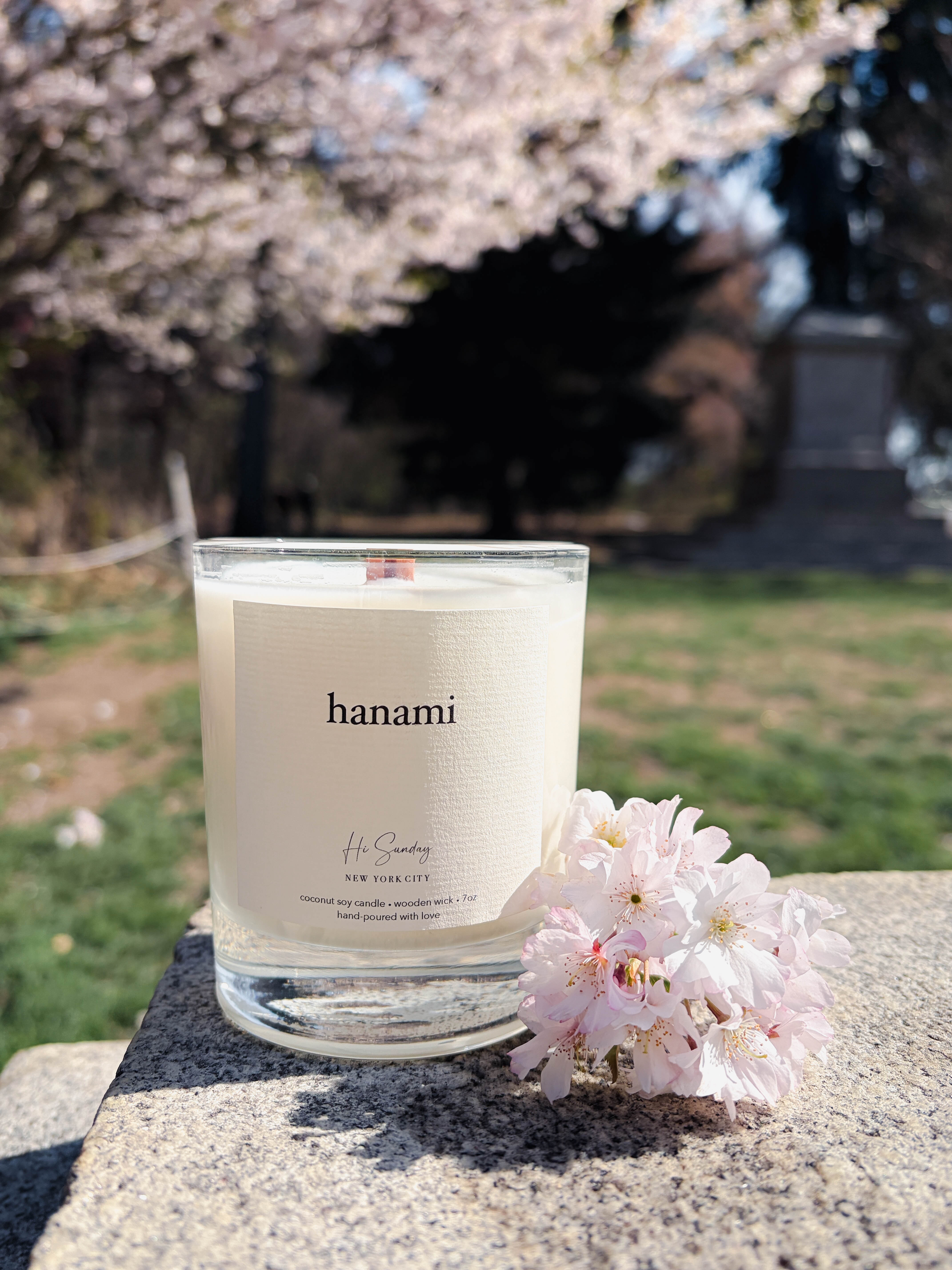 HANAMI – Hi Sunday Collective